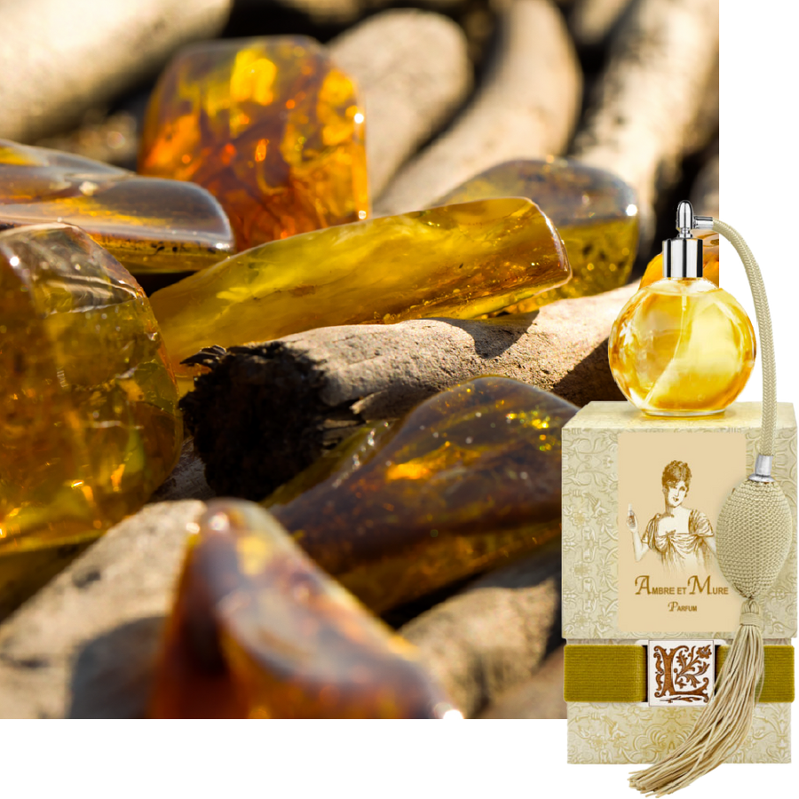 Ambre et Mure