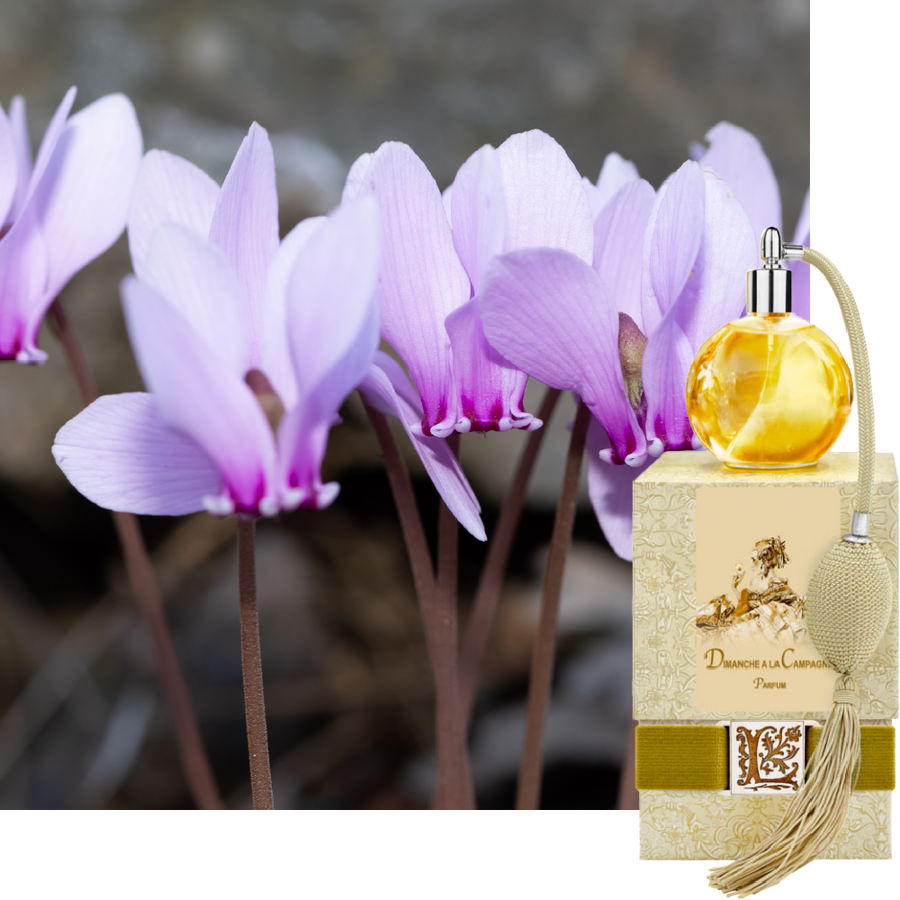 Dimanche a La Campagne