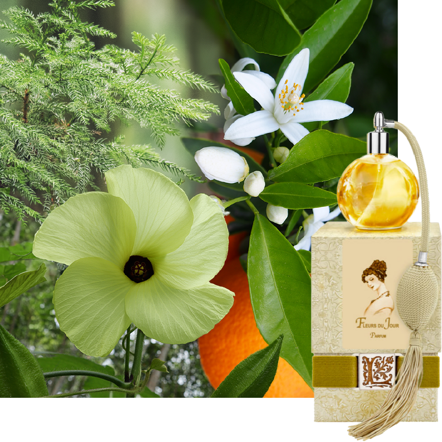 Fleurs de Jour / Marina Blue