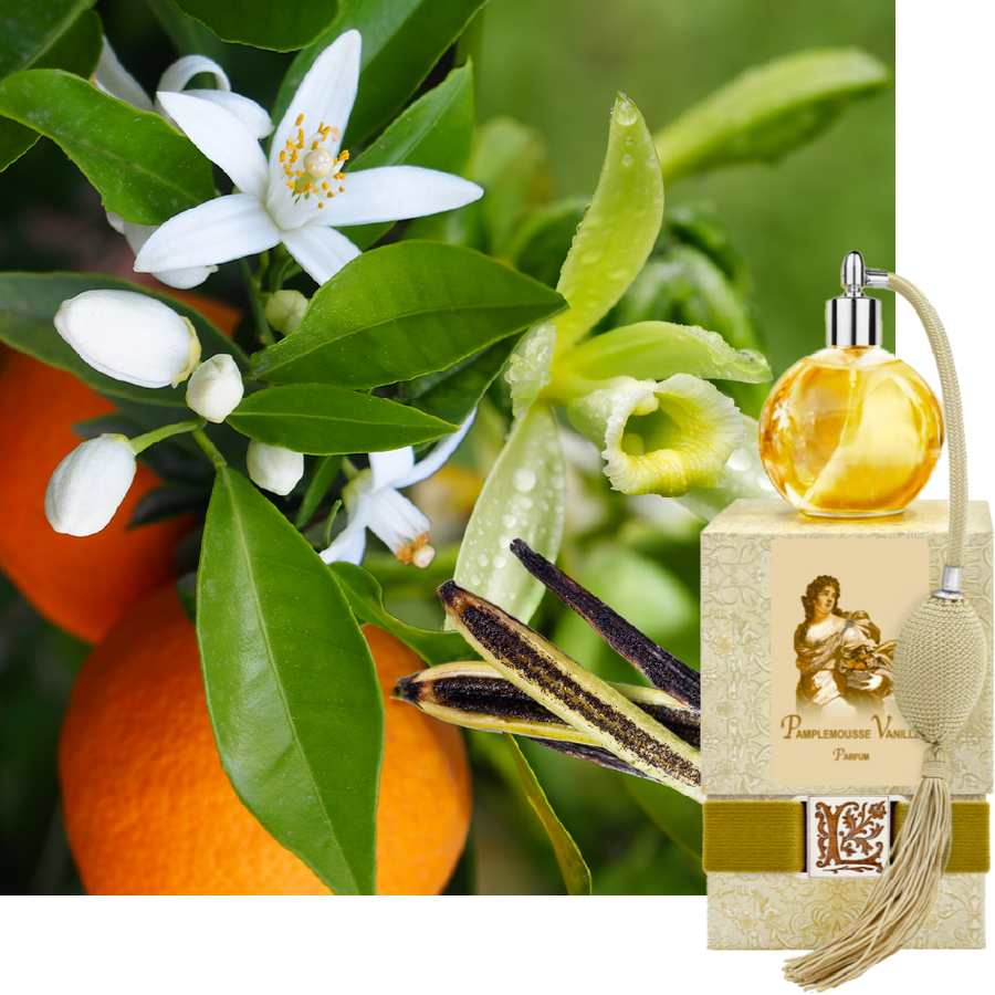 Pamplemousse Vanille