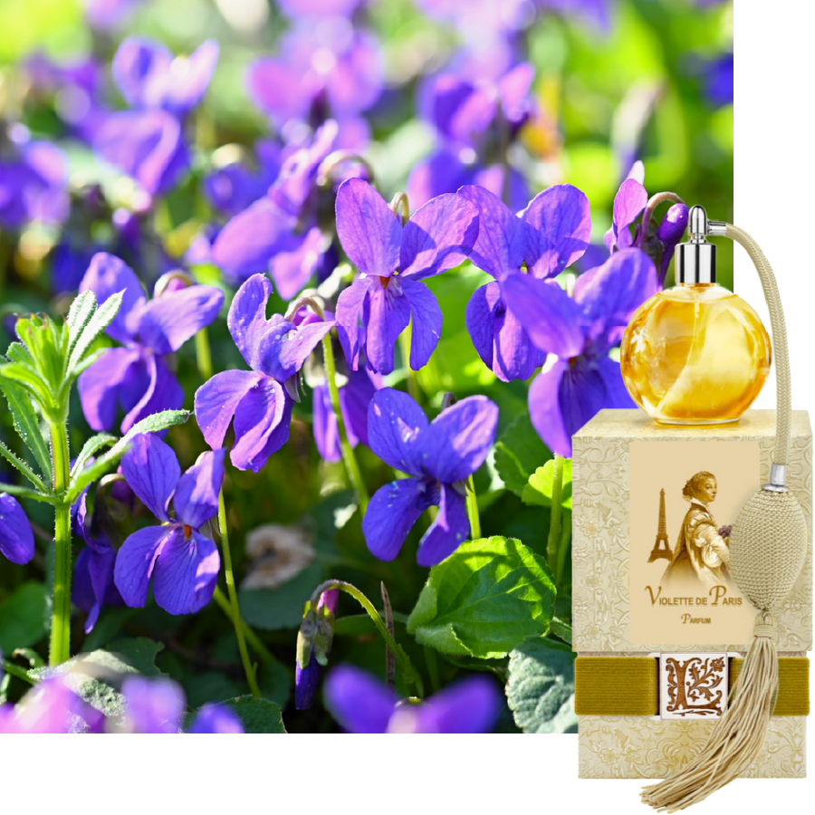 Violette de Paris