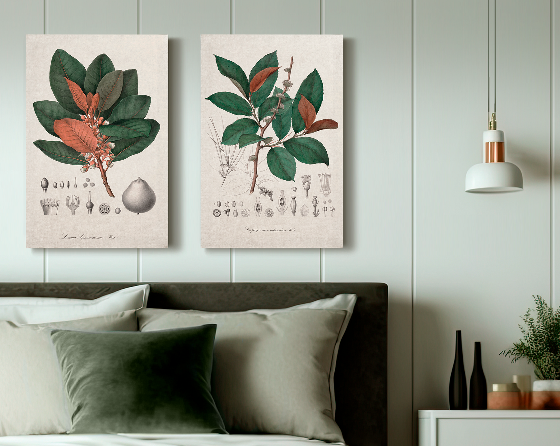 Tropical Botany