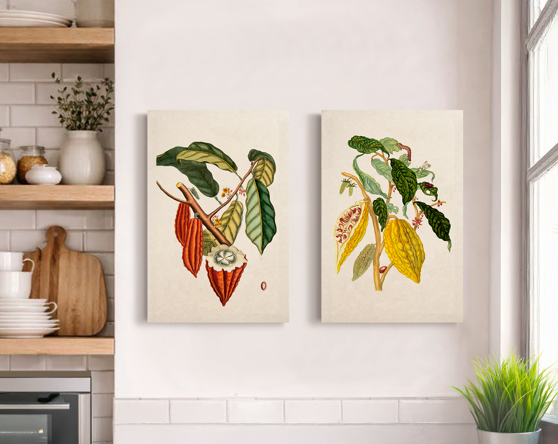 Cacao