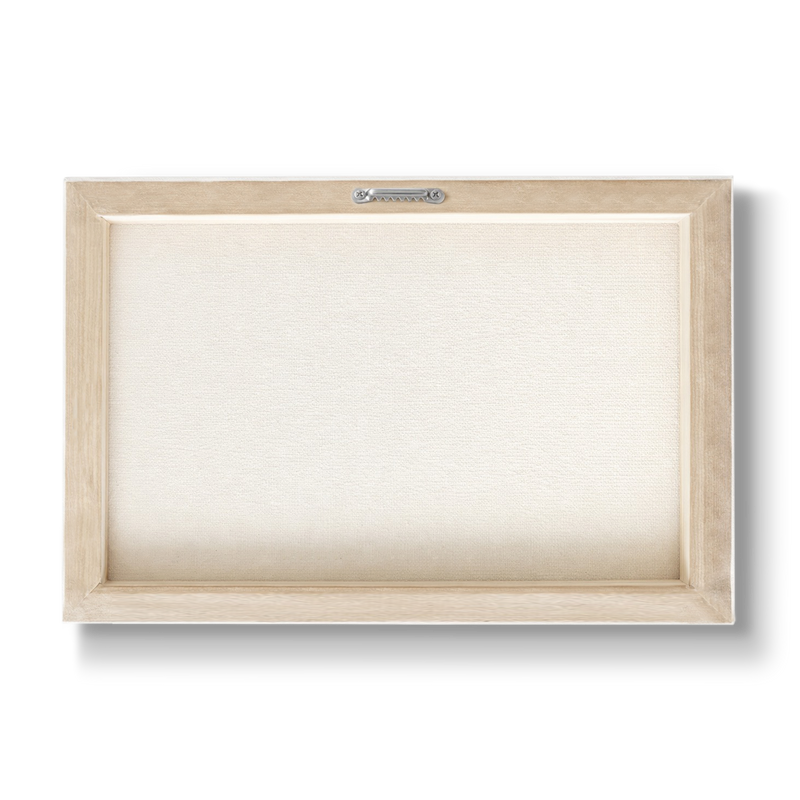 Ampelion arcuatus - Botanical Print