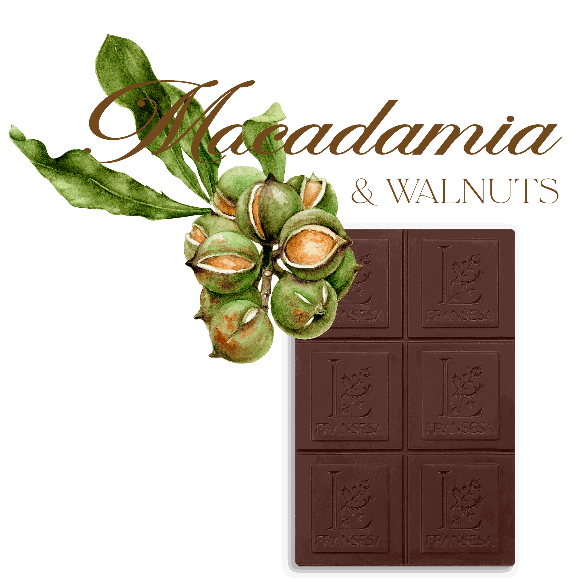 Macadamia & Walnuts - Bean to bar. Craft Chocolate. 70% cocoa