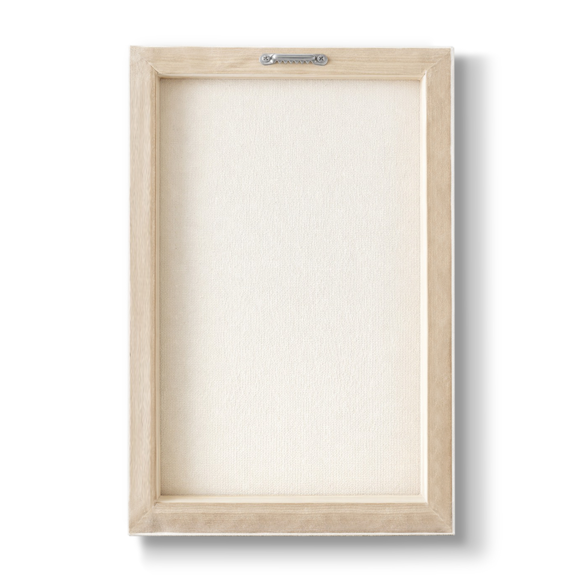 Acrostichum barbatum - Botanical Print