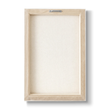 Acrostichum barbatum - Botanical Print