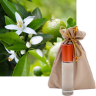 Matins Verts French Perfume 10ml. Roll-On
