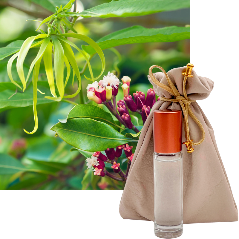 Tendre est la Nuit French Perfume 10ml. Roll-On